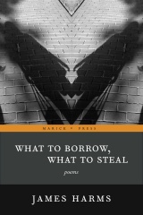 WhatToBorrow_cover_2